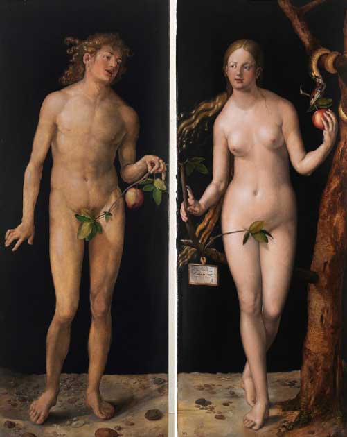 El Adán y Eva de Albrecht Dürer, pintado en 1507 d. C., presenta de manera prominente la fruta prohibida que conecta los dos paneles con la serpiente casi olvidada en la esquina superior derecha. (Albrecht Dürer / Dominio público)