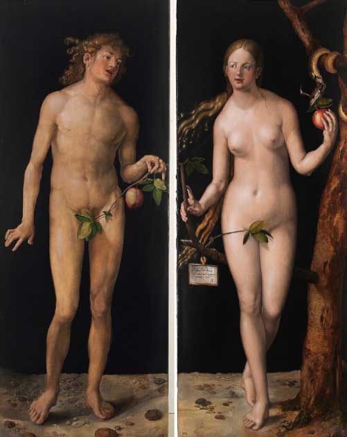 Adam and Eve by Albrecht Dürer painted in 1507 AD prominently features the forbidden fruit connecting both panels with the snake almost forgotten in the upper righthand corner. (Albrecht Dürer / Public domain)