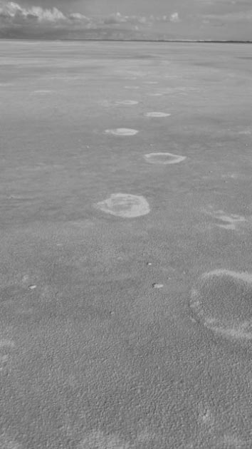 Alkali Flat in New Mexico, USA. Ancient footprints of bygone creatures are preserved here. Matthew Robert Bennett, Author provided