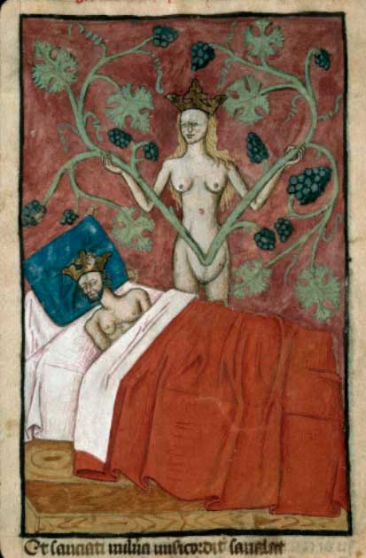 El sueño de Astiages de un manuscrito francés del siglo XV. (Dominio publico)