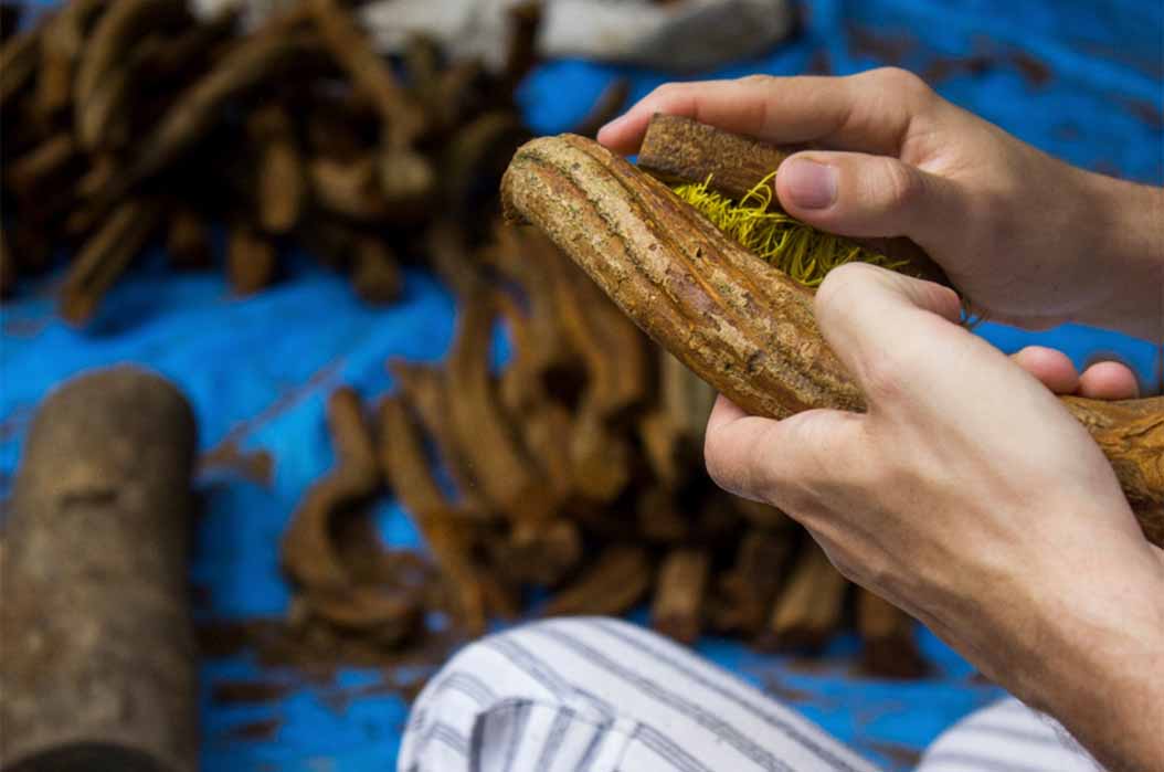 Hallucinogenic Trip Of The 1000-Year-Old Shamanic Pouch Into Another Galaxy