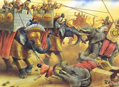 Berenike and African Wars