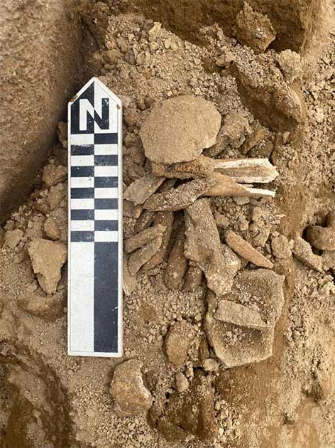 Se descubrieron huesos dentro de los recipientes de cerámica. (Instituto Nacional de Patrimonio Cultural)