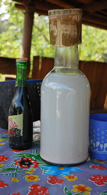 Bottle filled with pulque - Mexico