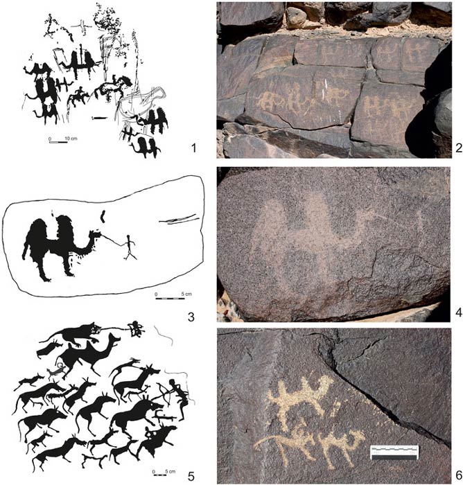 Petroglifos de camellos de la Edad de Bronce en el desierto de Gobi de Mongolia, donde también se ha encontrado evidencia del camello gigante. (Fronteras de las Ciencias de la Tierra)