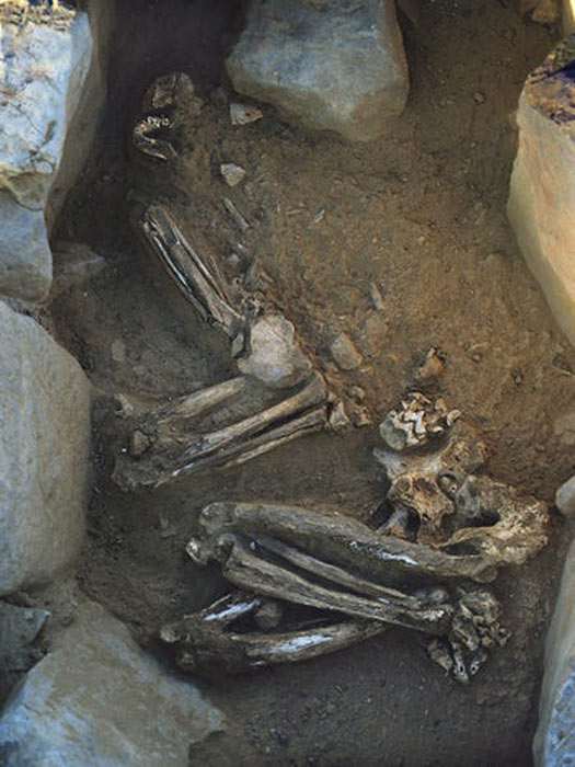 Un entierro de 7.500 años de antigüedad de una mujer con un niño encontrado en una de las tumbas de Eilat en el Mar Rojo. (Uzi Avner/Researchgate)