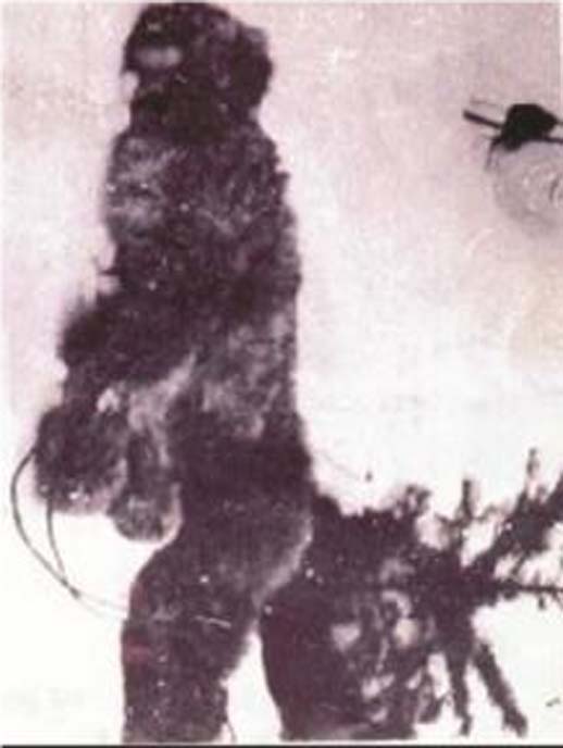 Detail of bigfoot in the 1894 photo. (Author provided)