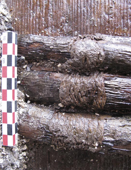 Detailed view of the three middle circles on barrel F354. (Inrap)
