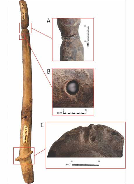 Details of the grooves, holes and notches which led researchers to conclude that the artifacts were once used as deer antler instruments. (F. Z. Campos / Antiquity)