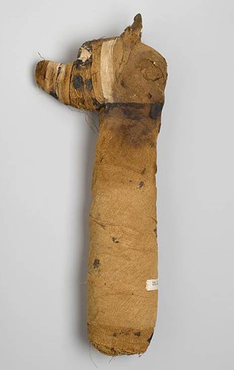 Dog Mummy, 305 B.C.E.-395 C.E. Animal remains, linen, painted. Brooklyn Museum
