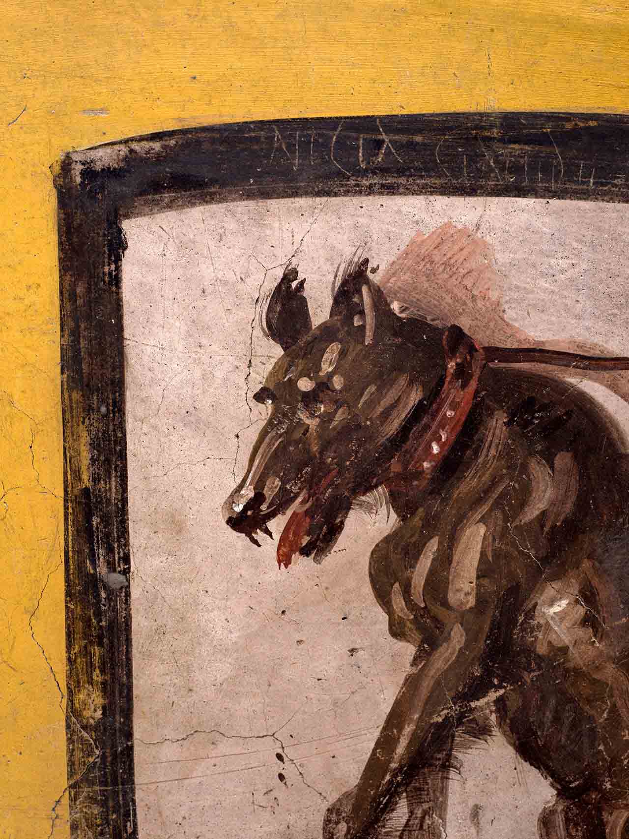 Una imagen de un perro con graffiti homófobo escrito en blanco en el borde superior que se encuentra en el puesto de comida de Pompeya que pronto reabrirá. (Parque Arqueológico de Pompeya)