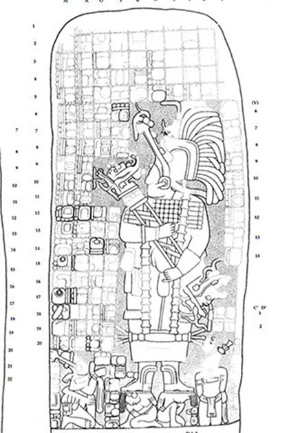 A drawing of a carving found on a stone monument in Cobá depicts the warrior queen who may have built the Maya road to expand her domain. (Traci Ardren and Dominique Meyer / University of Miami)