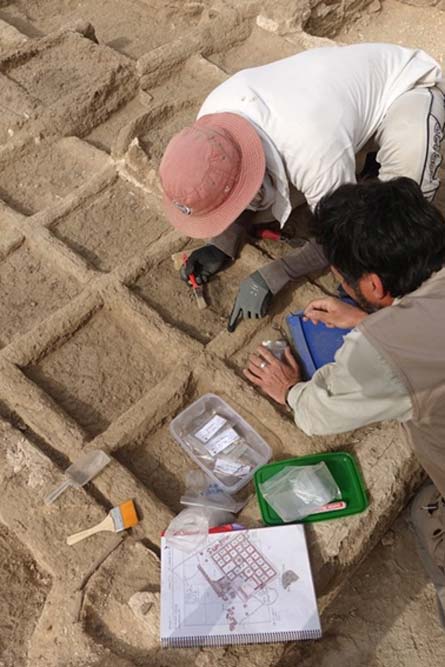 Examining the site of the funerary garden. 