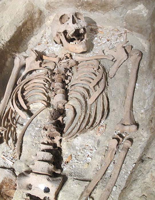 Example of a grave and skeleton at a maritime museum. (Marlene Oostryck/CC BY 3.0)