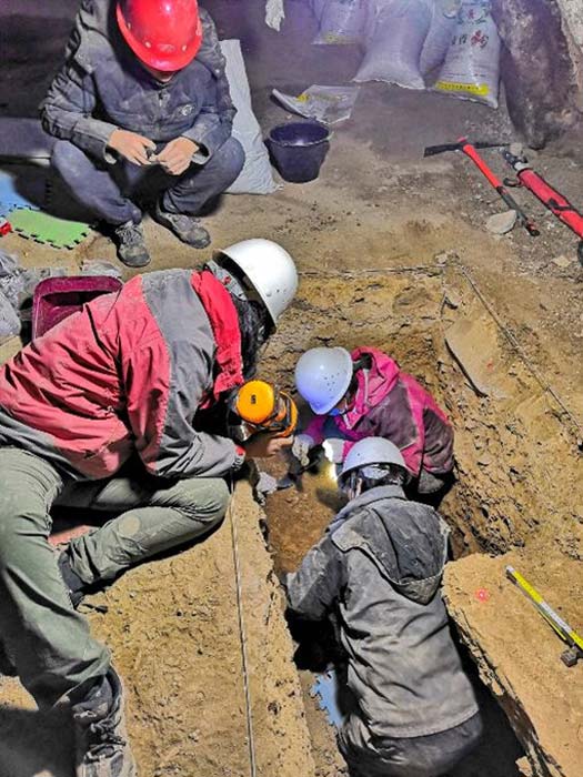 Excavating in the Baishiya Karst Cave. (Dongju Zhang, Lanzhou University)