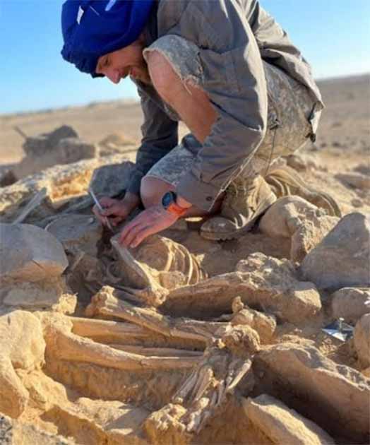 Раскопки захоронений в Омане.  (Роман Гарба и Алжбета Даниелисов/Институт археологии КАН в Праге)