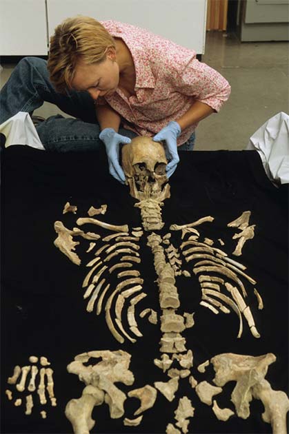Forensic anthropologist arranging the remains of the Kennewick Man. (Chip Clark / Smithsonian Institution)