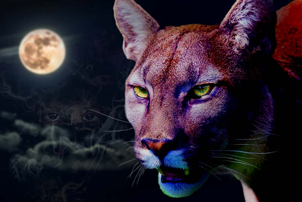 A Puma in the night (Public Domain); with ancestor spirits