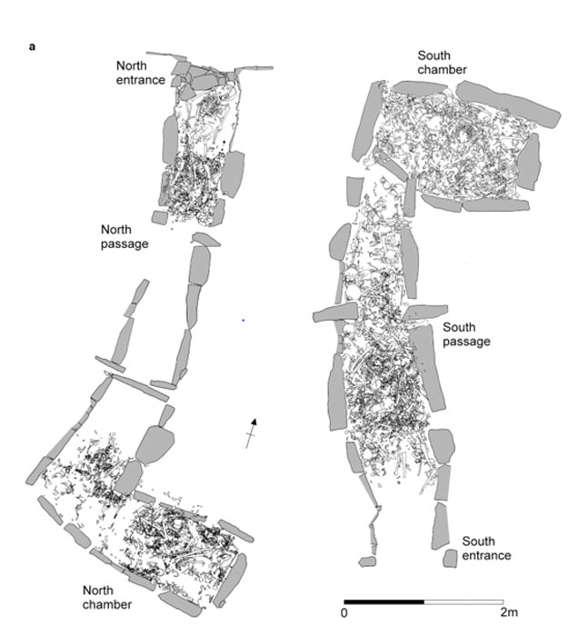 La tumba con cámara de Hazleton North. a) Distribución de restos humanos en ambas cámaras. Los esquemas en a están adaptados de figuras originales (© Historic England / Nature)