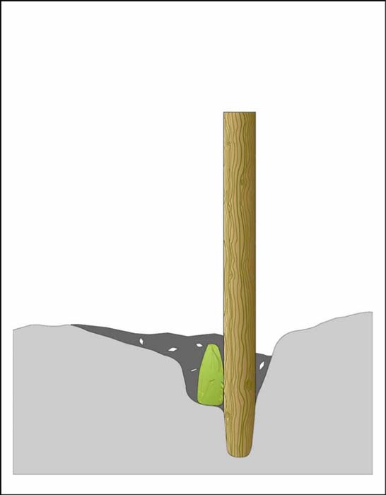 An artist's interpretation of what the grave at Hermitage would have looked like with a post.