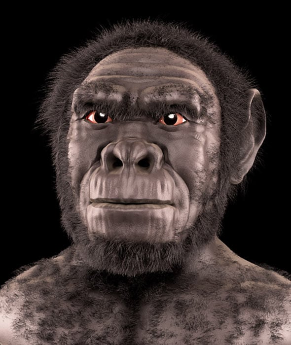 Homo habilis - forensic facial reconstruction/approximation. (Cicero Moraes/CC BY-SA 4.0)