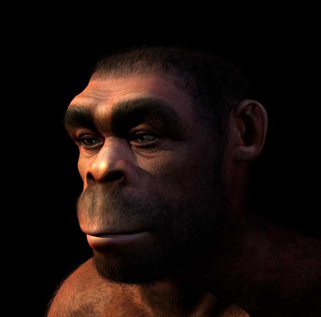 El Homo erectus es el candidato más probable para el homínido que pasó por las islas del Egeo. (AlienCat/Adobe Stock)