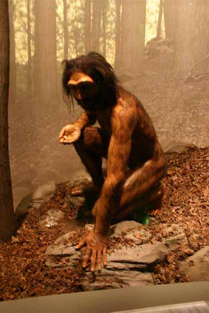 Homo erectus. (Ryan Somma / CC BY-SA 2.0)