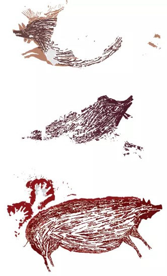 Tracings of the warty pig cave painting which has been discovered on the Indonesian island of Sulawesi. (A. A. Oktaviana / Griffith University)