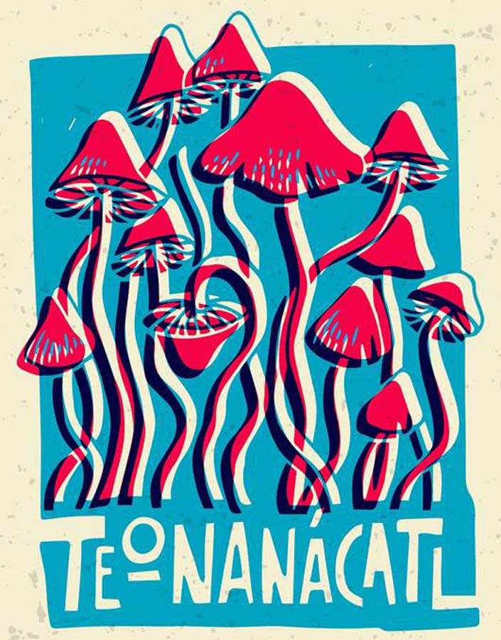 Illustrated card with psychedelic mushrooms. (Stellar Bones / Adobe Stock)