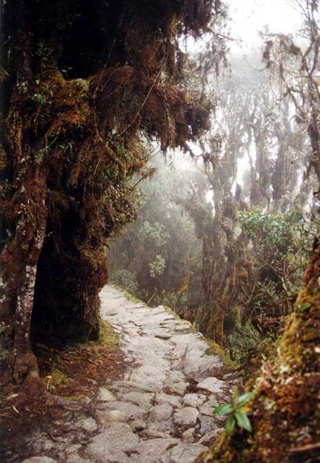 Part of the Inca Trail system (Public Domain)