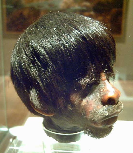 A Jibaro man’s shrunken head, shrunk by the Shuar, exhibited at the Museum of the Americas in Madrid. (Luis García / CC BY-SA 3.0)