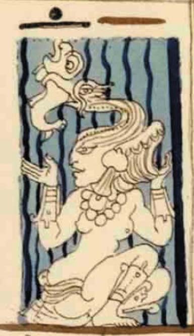 Lady Cormorant, Maya Goddess Muwaan Mat from Dresden Codex