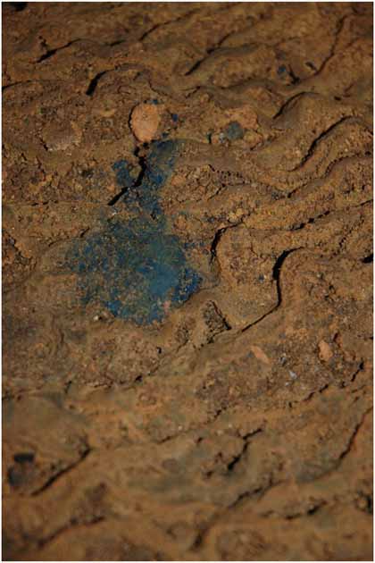 Depósito de Pigmento Azul Maya, Cueva del Terror de Medianoche (Melanie Saldaña/IJO)