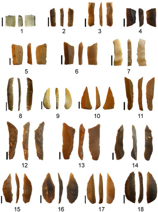 Microlithic tools found in association with the limestone artifacts.