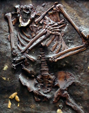 The Neanderthal remains found in the Kebara Cave, Israel