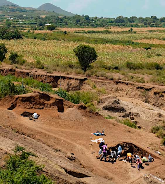 Sitio de Nyayanga siendo excavado en julio de 2016. (JS Oliver/Proyecto de Paleoantropología de la Península Homa)