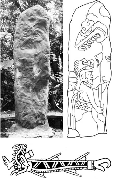 Top: Olmec Monument 63 in the archaeological site of La Venta, Mexico. (University of Alabama) and drawing detailing a person with a possible shark on the pillar. (Clark et al. 2010: ﬁg. 1.7c) Bottom: Depiction of a shark with a human foot sticking out of its jaws in the Aztec Codex Fejérváry-Mayer, plate IX, No. 42. (José I. Castro)
