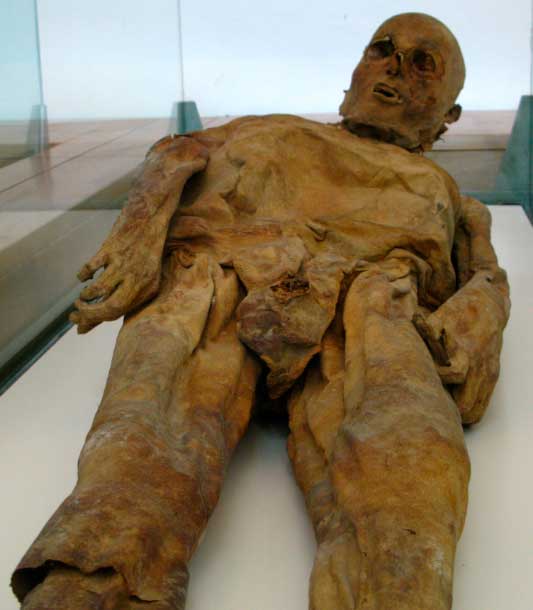 One of the Venzone mummies, exhumed in 1811 (Joadl / CC BY SA 3.0)