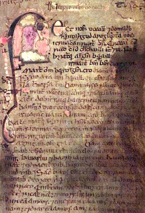 Página del Libro de Leinster, manuscrito medieval del siglo XII. (Soerfm / Dominio Público)