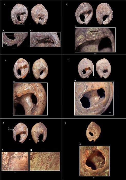 Photos from the recent study showing the sea snail shell jewelry beads found in the Bizmoune Cave of Morocco. (ScienceAdvances)