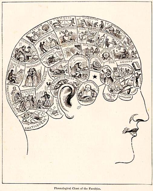 1883 Phrenology diagram (Public Domain)