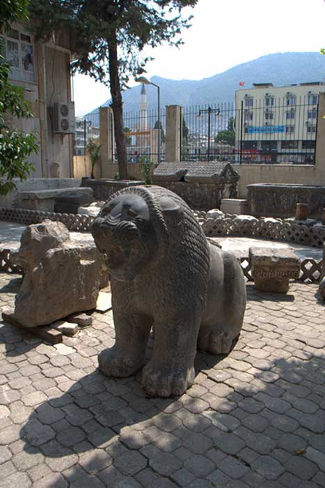 Portal Lion excavated in the 2011 season, seated in the courtyard of the 'old' Hatay Archaeological Museum.