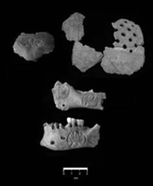 Portions of the Pakal Na trophy skull, found in the south with a northern warrior. Patricia A. McAnany, CC BY-ND / The Conversation