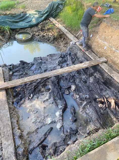 Remnants of cabins have been well preserved, for organic material over 7000 years old. (Banyoles City Council/IPHES)