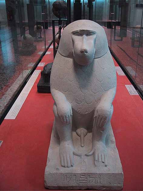 Representation of Thoth as a baboon, Louvre Museum. (CC BY-SA 3.0)