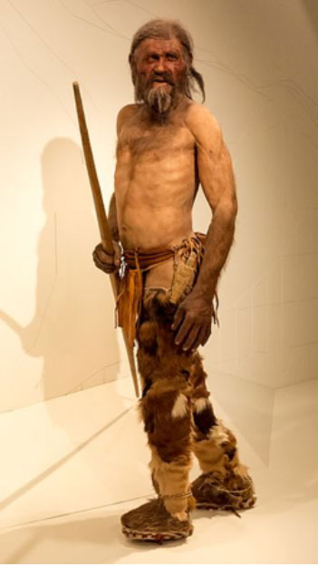 Reproduction of Ötzi, South Tyrol Museum of Archaeology