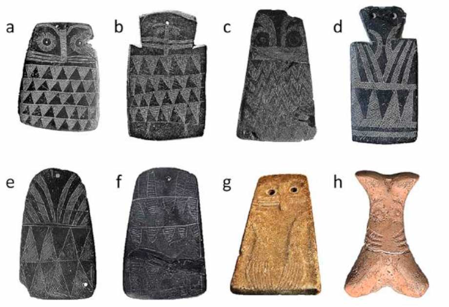 Selection of owl plaques from the Iberian Peninsula. (Juan J. Negro et. al. / CC BY 4.0)