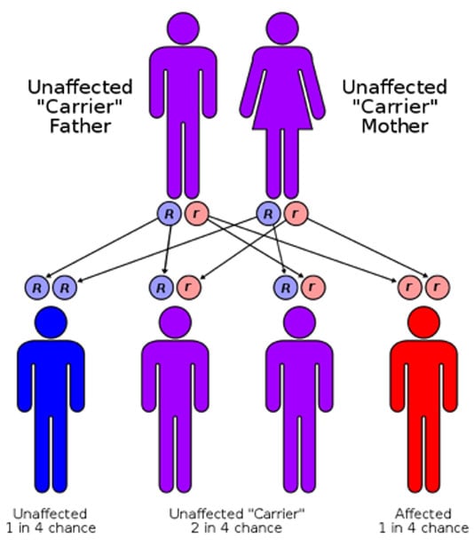 Sickle-cell disease is inherited in the autosomal recessive pattern. 
