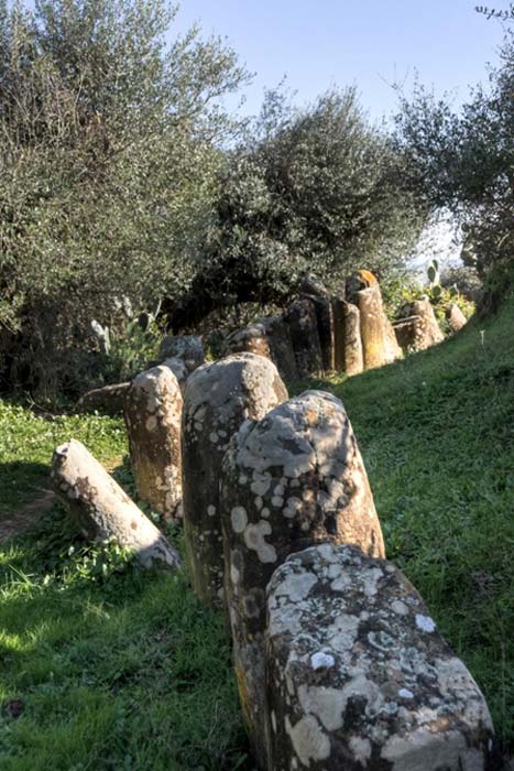 The Mzora Stone Circle in Africa. (Christophe Chenevier / CC BY-SA 2.0)