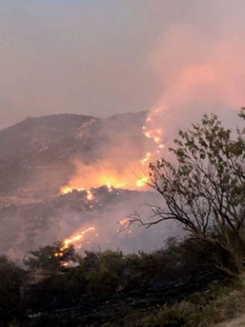 The Woodbury Fire, which threatens the ancient tree, has reached an extent of almost 80,000 acres. (US Forest Service Tonto National Forest / Facebook)